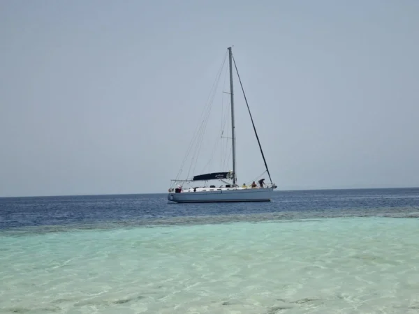 Red Sea Sailing