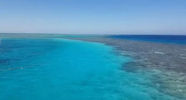 Abu Galawa
