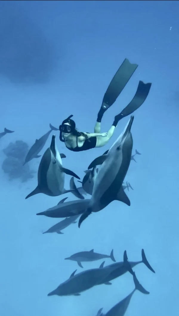 Diving in Red Sea