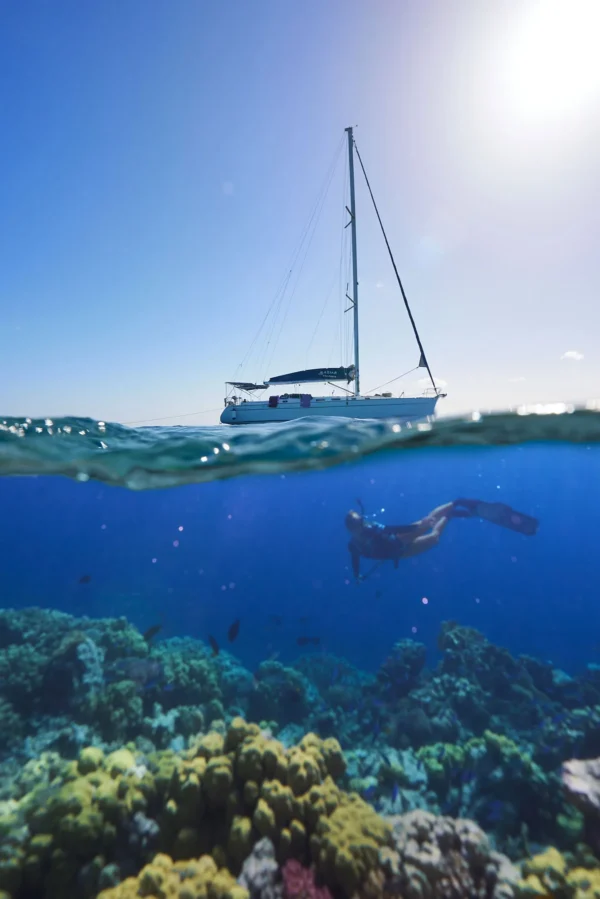 Freedive & Sail