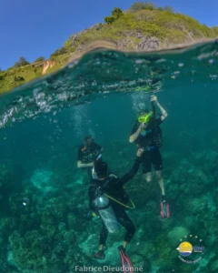 Divers