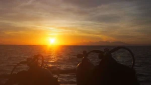 Tauchsafaris im Roten Meer