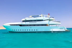 Tauchsafaris im Roten Meer