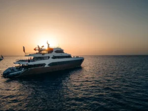Tauchsafaris im Roten Meer