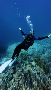 Tauchsafaris im Roten Meer