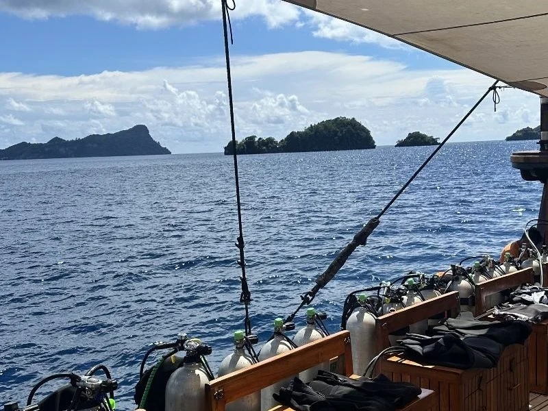 Warum Raja Ampat für eine Tauchsafari wählen? Warum Raja Ampat für eine Tauchsafari wählen?